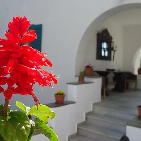 Kipos Appartamento Naxos City